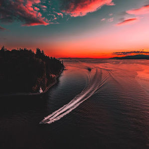 Meet your Posher, Henry